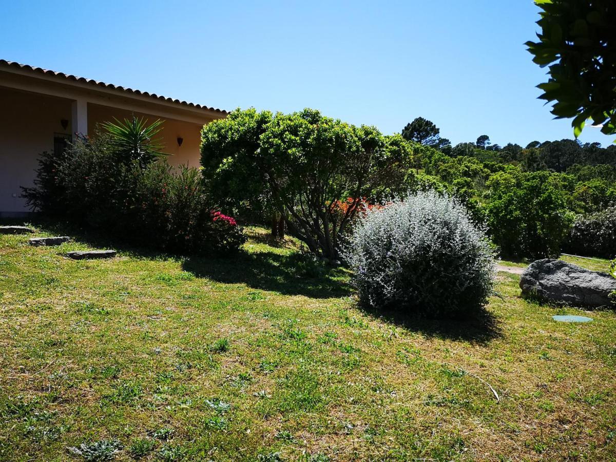 Appartements Avec Jardin Entre Porto-Vecchio Et Figari - Casa Mattiste Sotta Ngoại thất bức ảnh